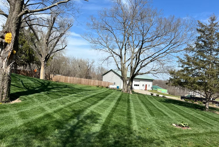 Lawn Mowing & Weedeating