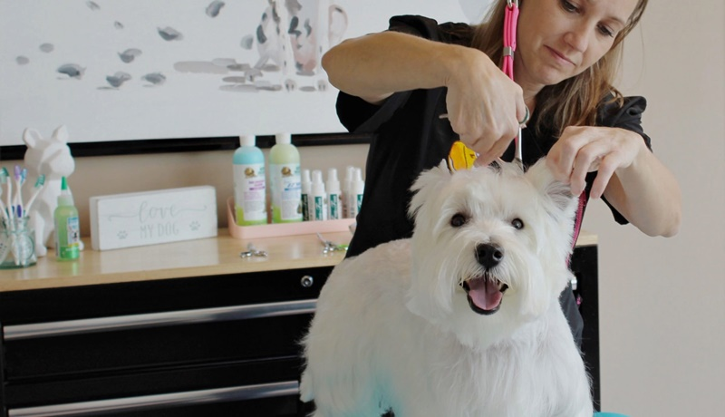Grooming Salon & Spa