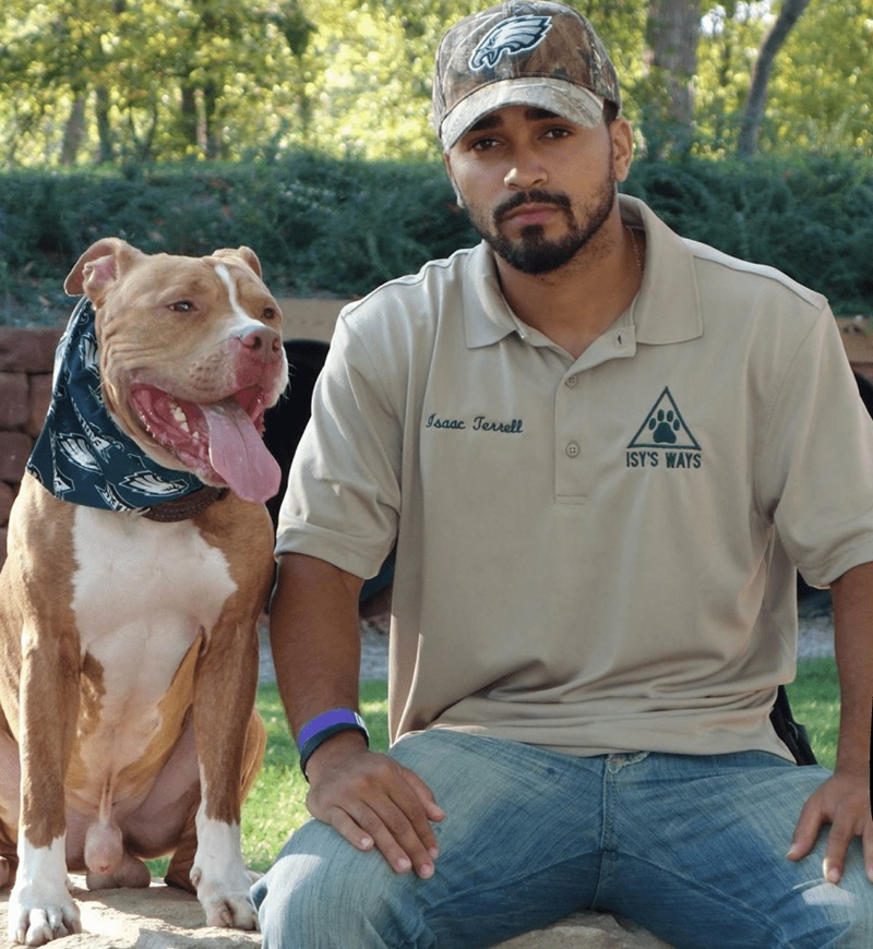 Dog Training