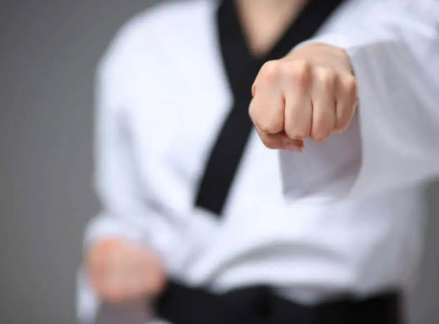 Adult Martial Arts