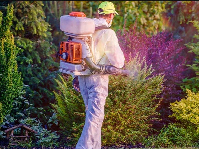 Lawn and Landscape Pest-Free