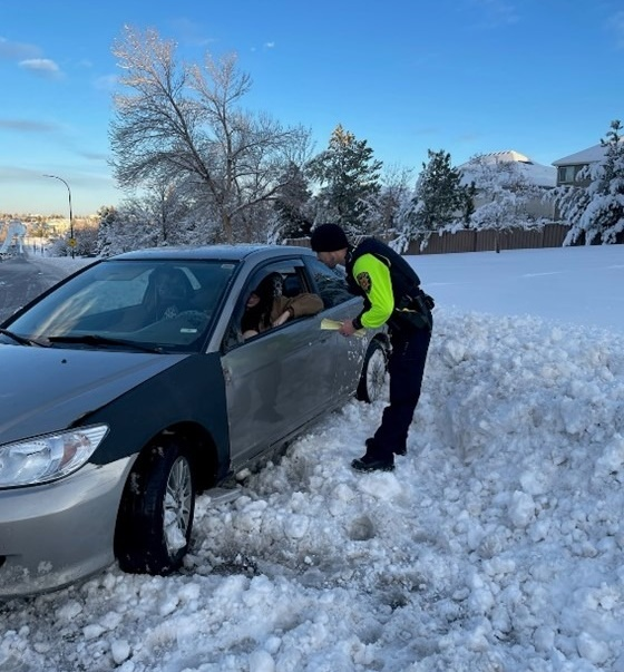 Report An Auto Accident