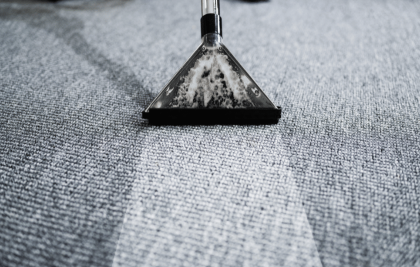 Carpet Cleaning Services