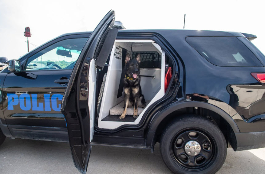 Shop with a cop