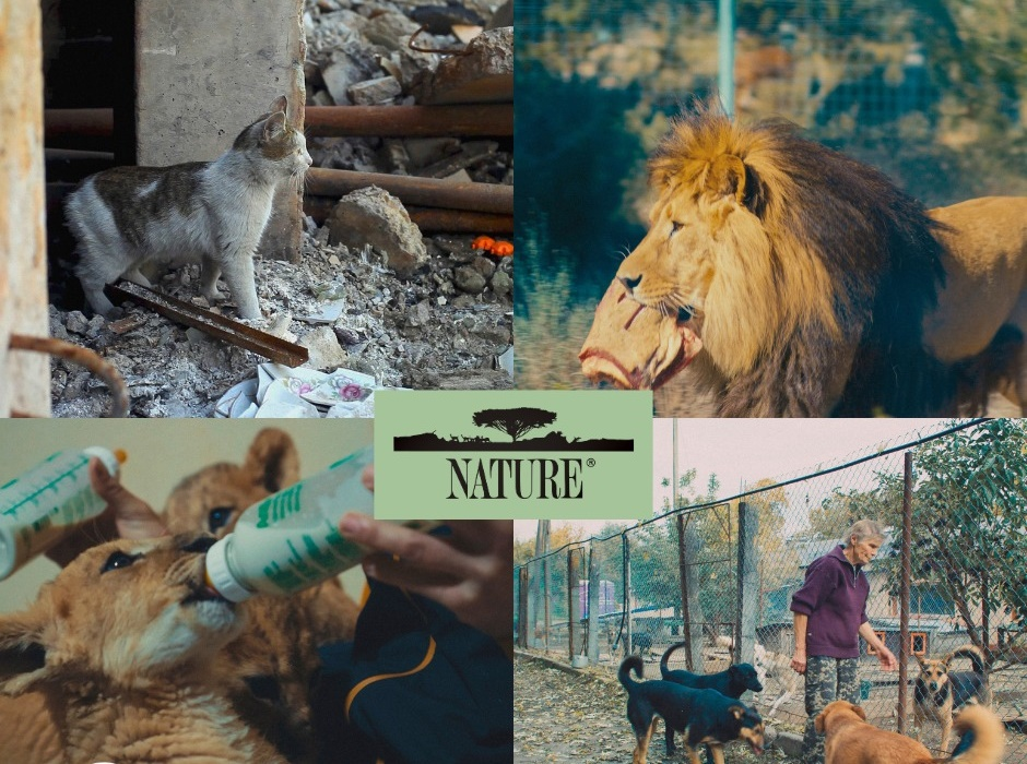 Featured Programs