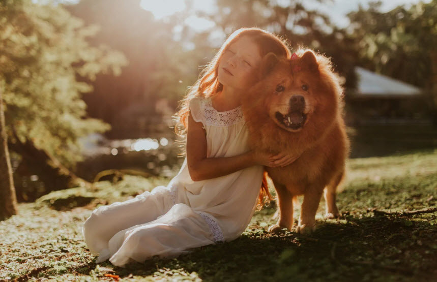 Complete Veterinary Care