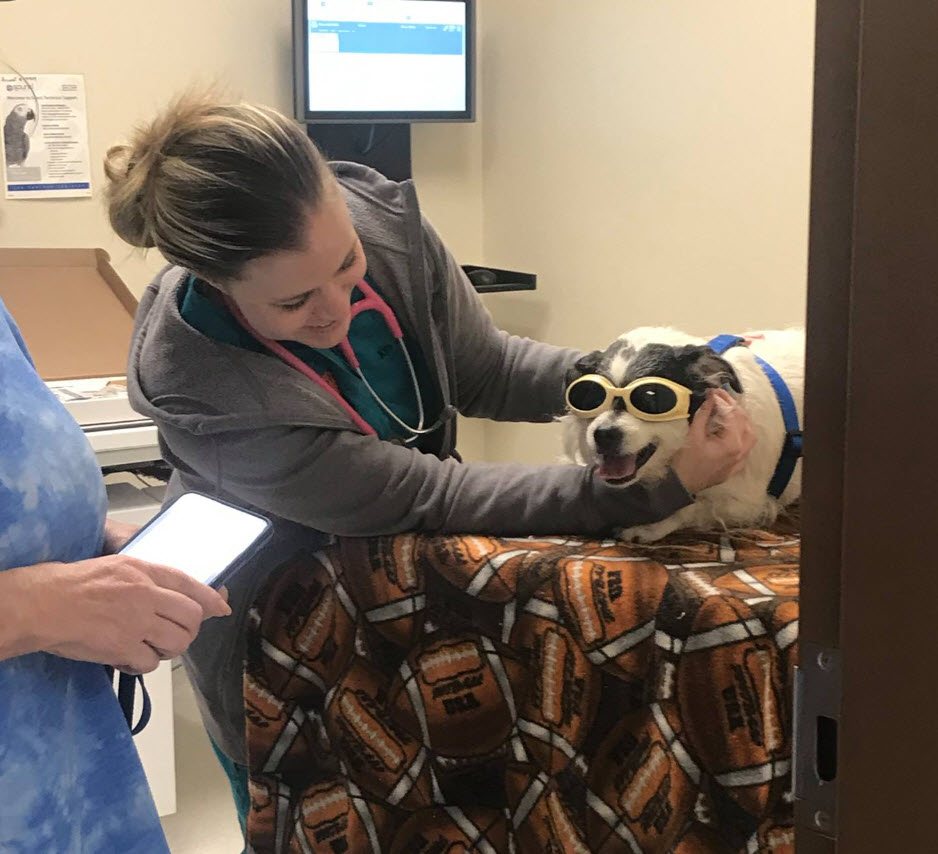 Laser Therapy