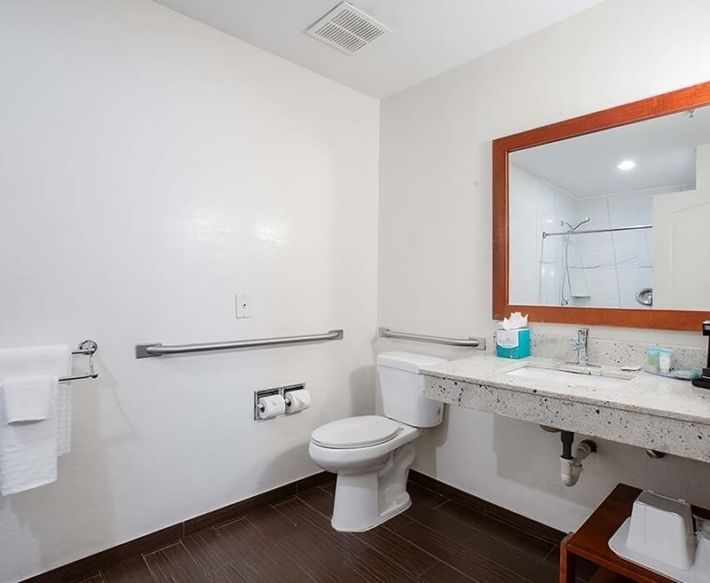 Accessible Amenities