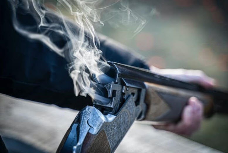 Shotguns