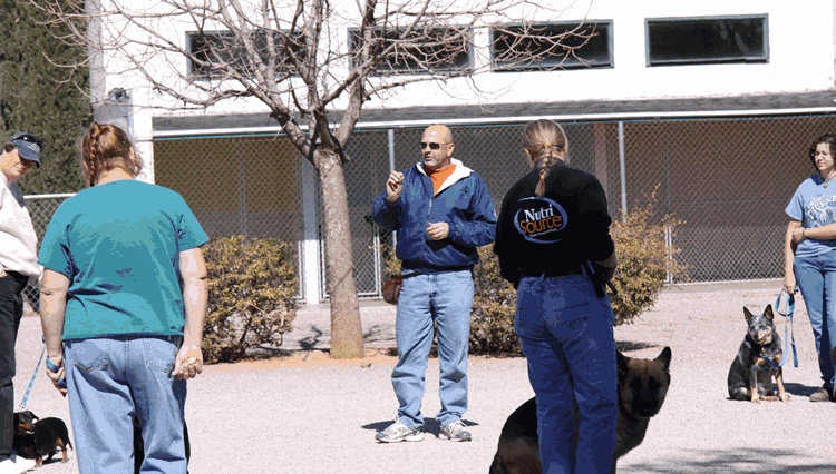 Canine Education