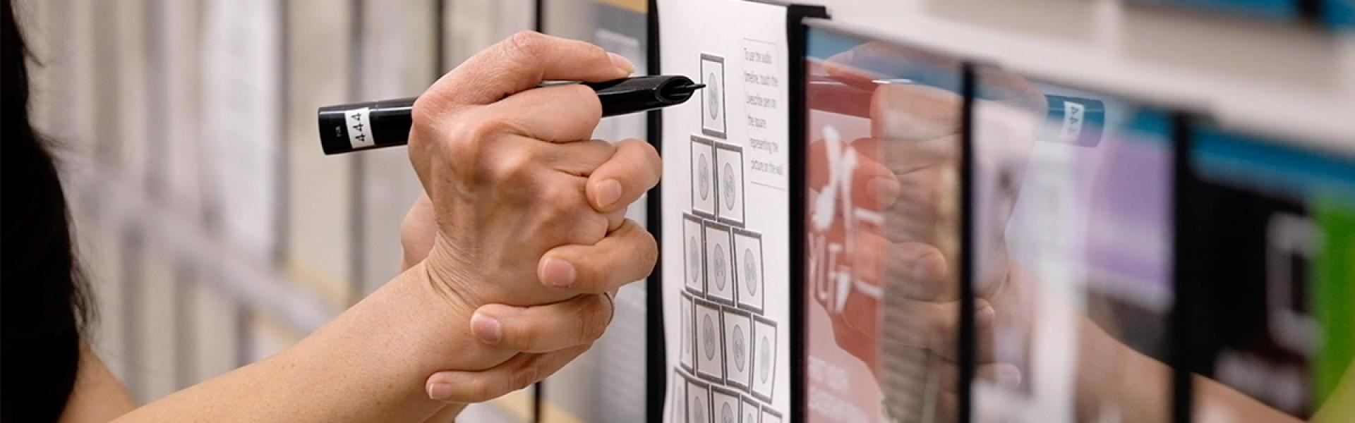 Disability Access Services