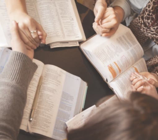 Growth and Fellowship