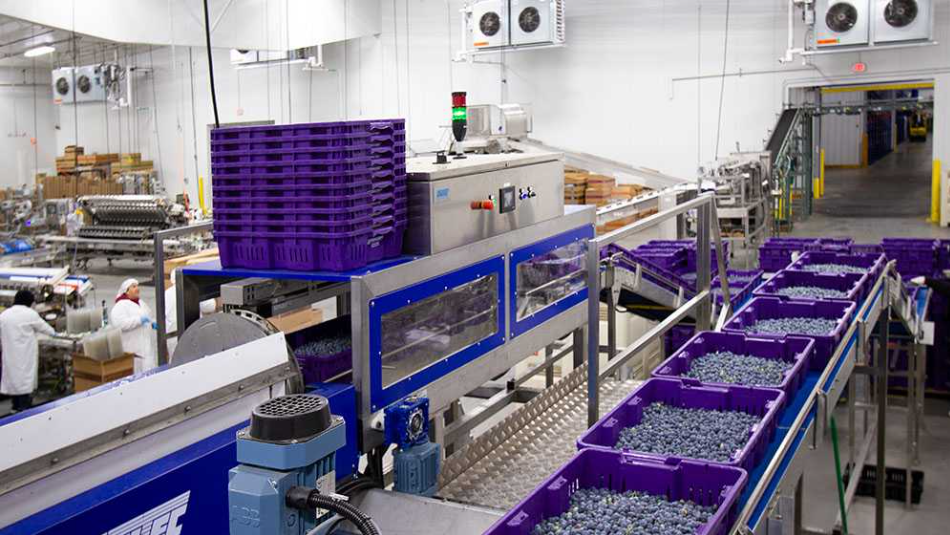 Food Process Engineering & Installation