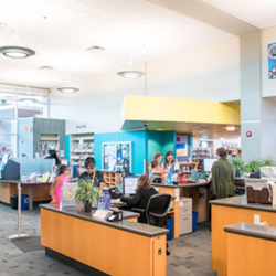 Libraries & Research