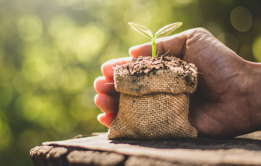 Plant Care
