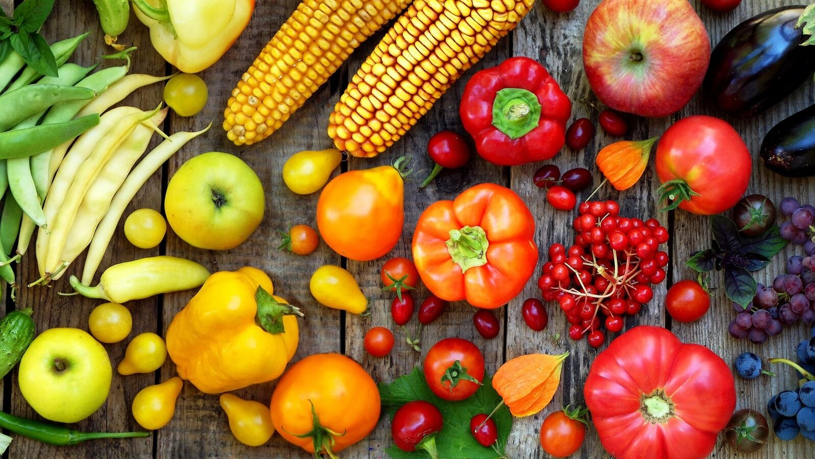 Food, Nutrition, & Health
