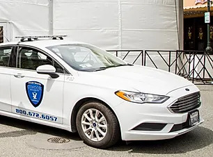 Vehicle Patrol