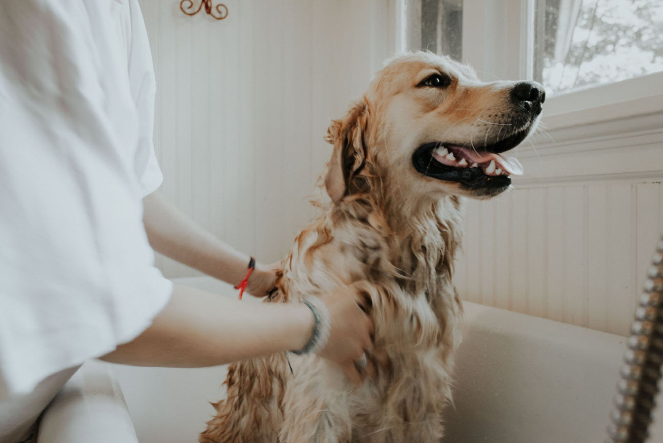 Grooming
