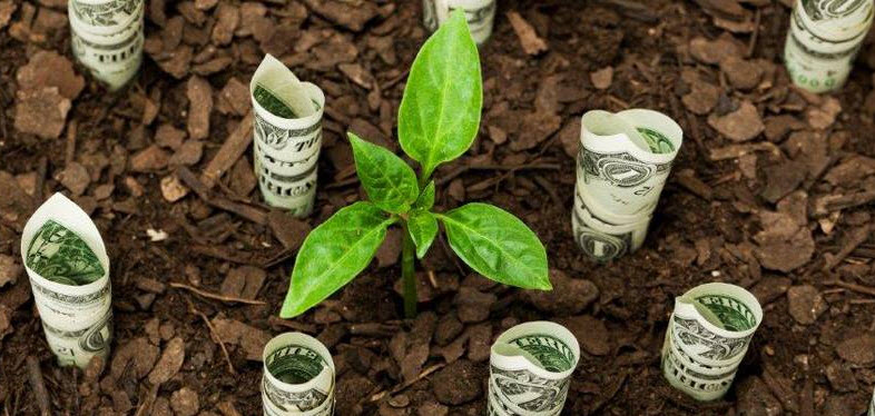 Wealth Management
