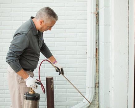 Home Services