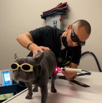 Laser Therapy
