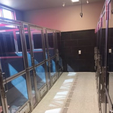 Luxury Boarding