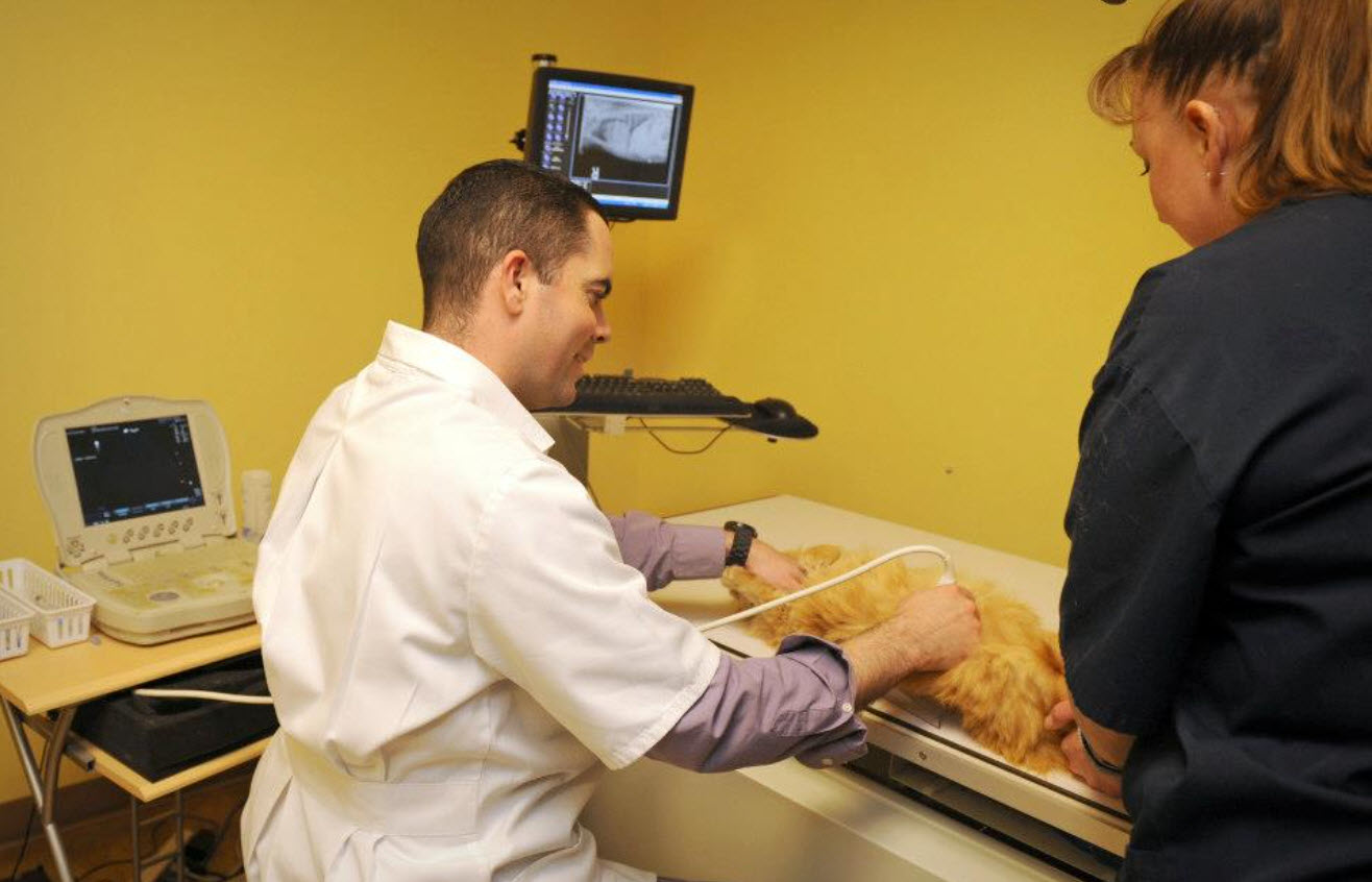 Ultrasonography