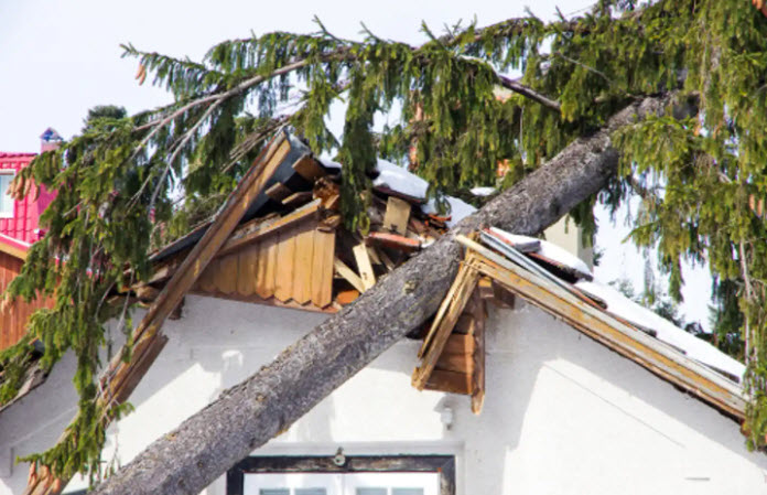 Storm Damage