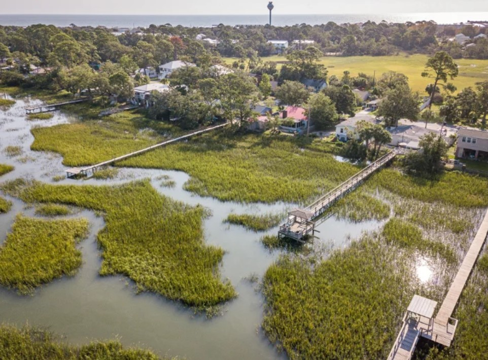 Salt Marsh and Dock Homes