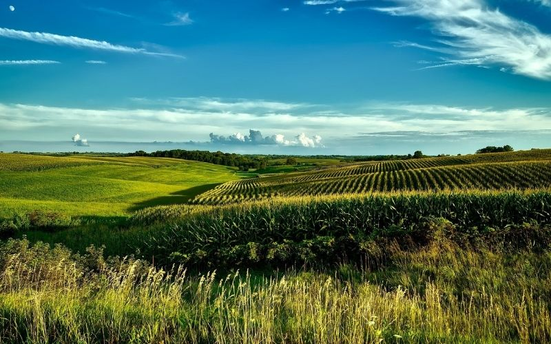 Iowa News