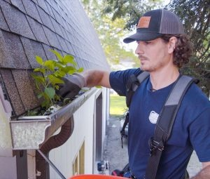 Gutter Cleaning