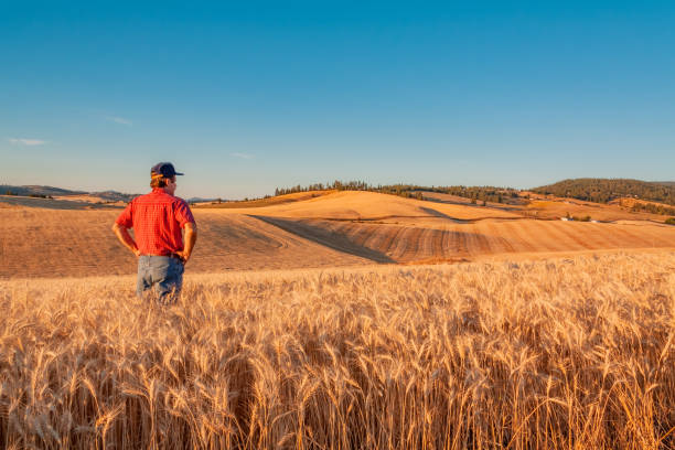 TRUSTED INSURANCE FOR WASHINGTON FARMERS -- AND BEYOND