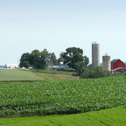 For Your Farm