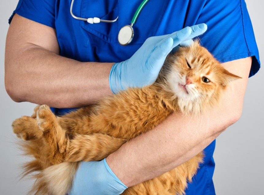 Diagnostics
