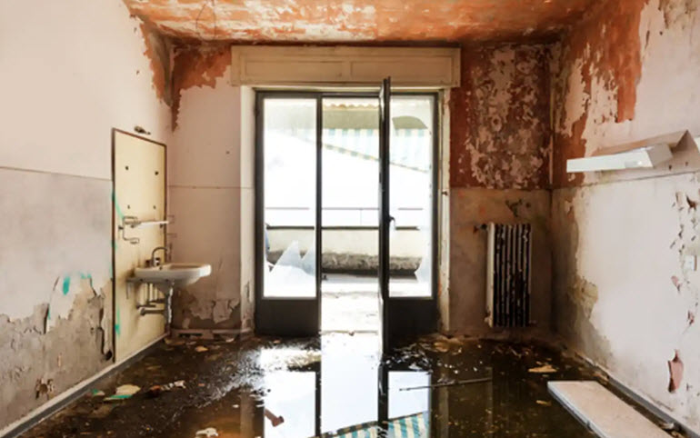 Water Damage Cleanup & Repair