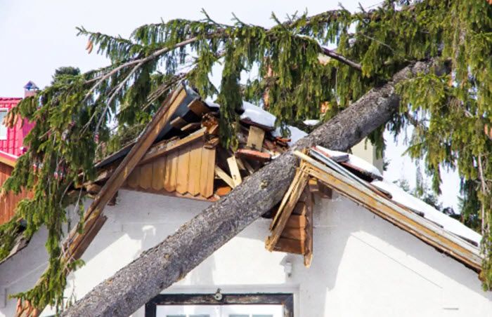 Storm Damage Restoration