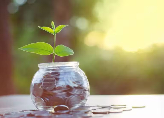 Financial Health