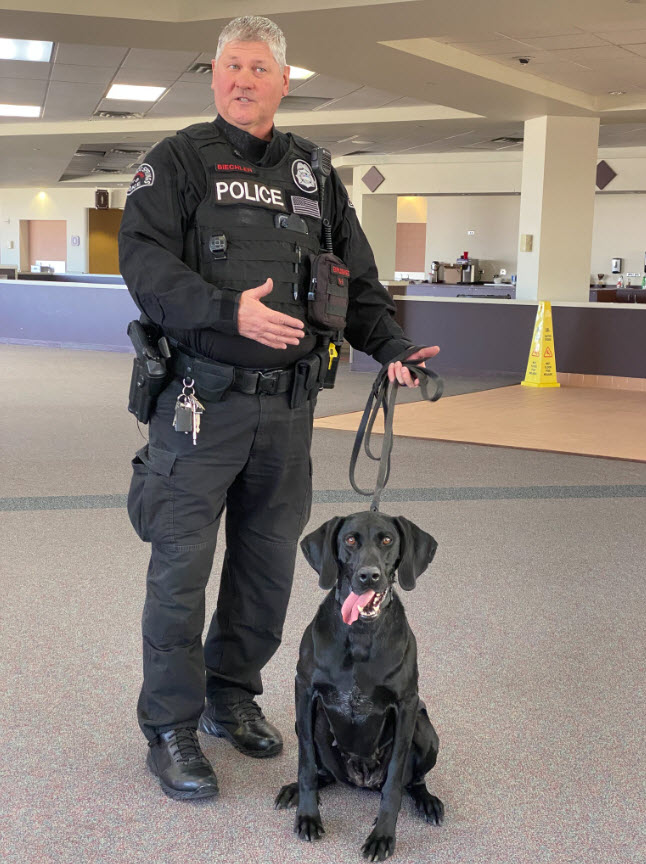 Airport Security