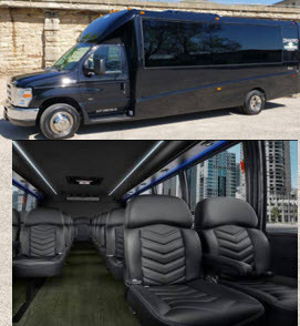 Mini / Shuttle Bus