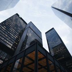 Financial Investigation