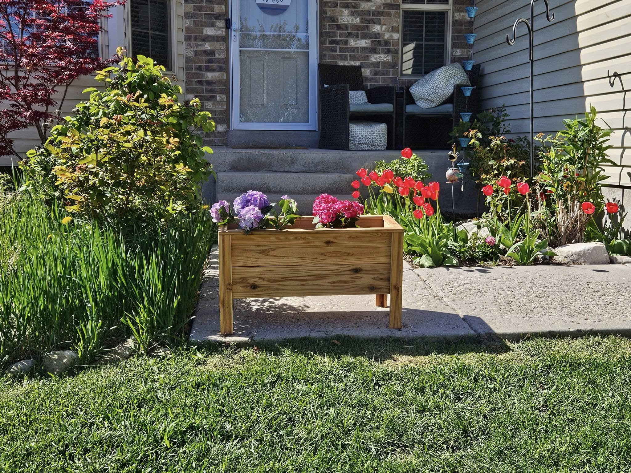 Cedar Planter Boxes