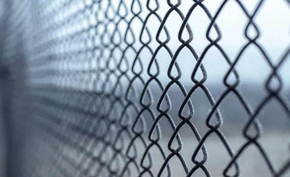 Chain link