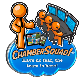Chamber Squad Overview