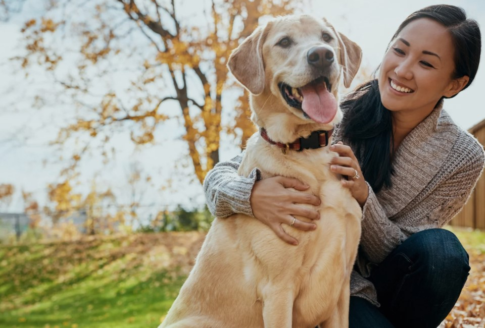 Injury and Illness Care