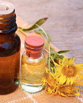 Herbs By Condition