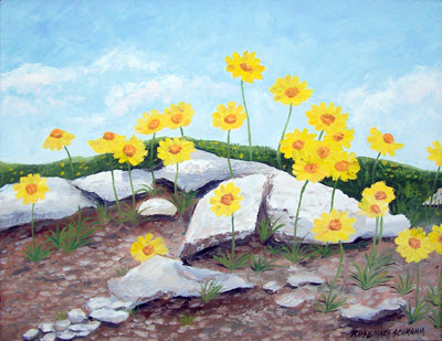 Limited Edition Prints