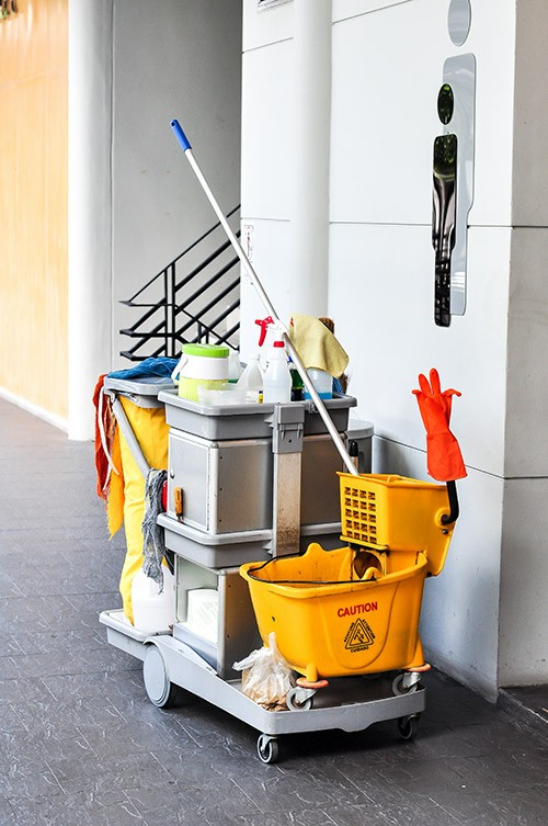 Janitor Services
