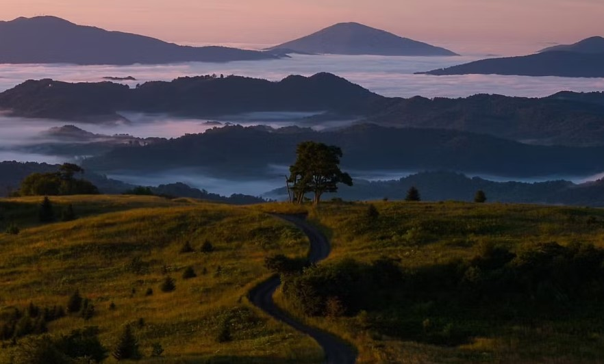 Adventure And Wilderness Wellness