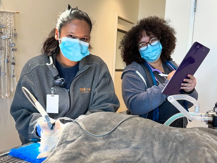 Advanced Dentistry