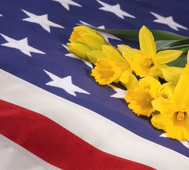 Veteran's Services
